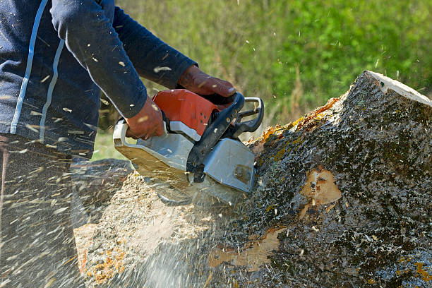 Best Lawn Irrigation Installation and Maintenance  in Malad City, ID